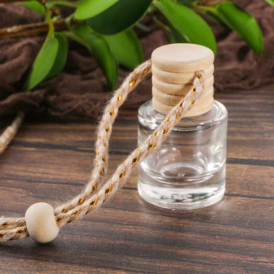 Hanging Car Diffuser